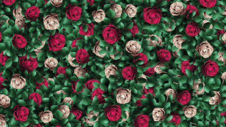 Wonderland Photo Backdrop